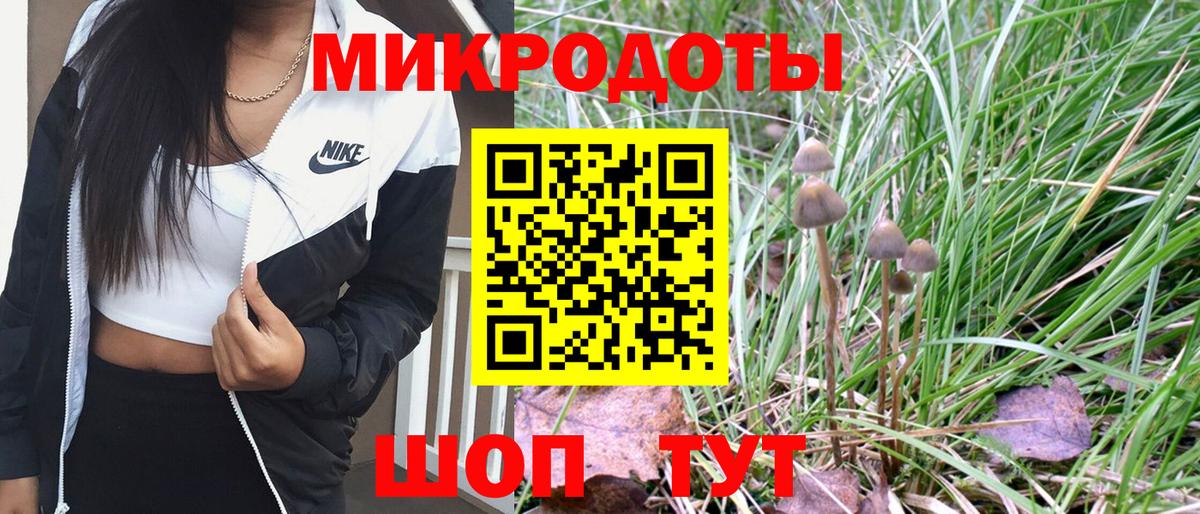 Псилоцибиновые грибы Magic Shrooms Холмск